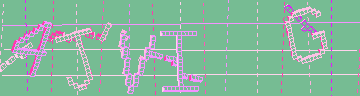 確認代碼