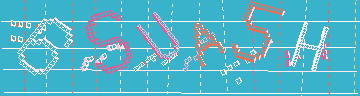 確認代碼