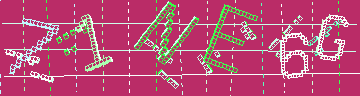 確認代碼