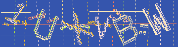 確認代碼