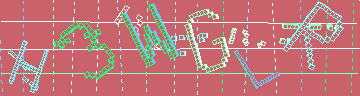 確認代碼