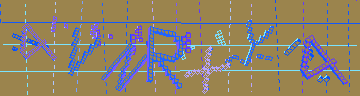 確認代碼