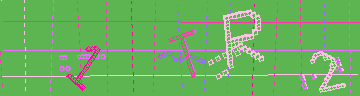 確認代碼