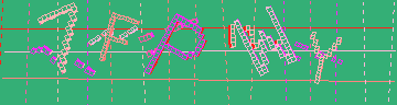 確認代碼