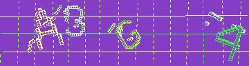 確認代碼
