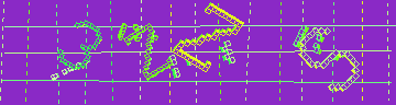 確認代碼