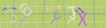 確認代碼