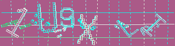 確認代碼