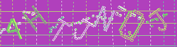 確認代碼