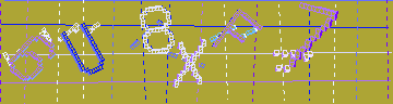 確認代碼