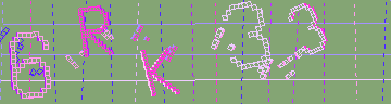 確認代碼
