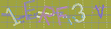 確認代碼