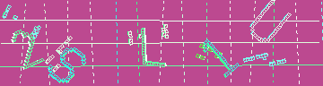 確認代碼