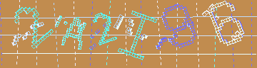 確認代碼