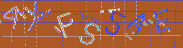 確認代碼