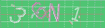 確認代碼