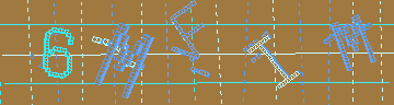 確認代碼