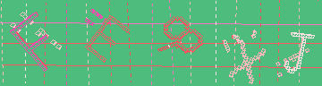 確認代碼
