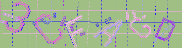 確認代碼