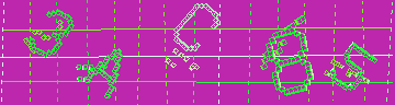確認代碼