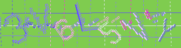 確認代碼