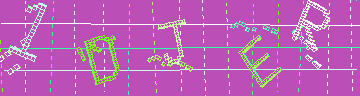 確認代碼
