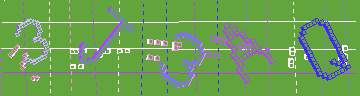 確認代碼