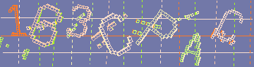 確認代碼