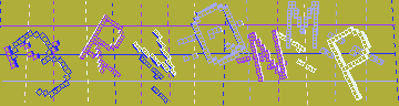 確認代碼
