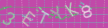 確認代碼