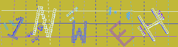 確認代碼