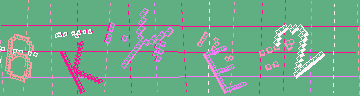 確認代碼