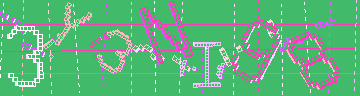 確認代碼
