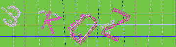 確認代碼