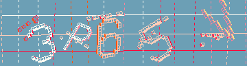 確認代碼
