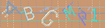 確認代碼