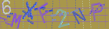 確認代碼