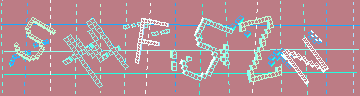 確認代碼