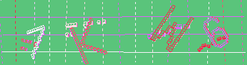 確認代碼
