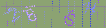 確認代碼