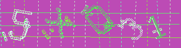 確認代碼