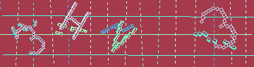 確認代碼