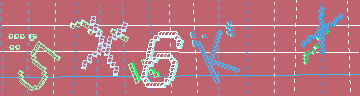 確認代碼