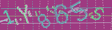 確認代碼