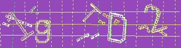 確認代碼