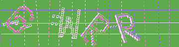 確認代碼