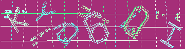 確認代碼