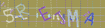 確認代碼