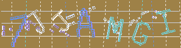 確認代碼