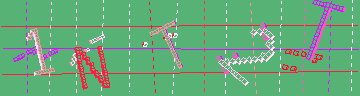 確認代碼